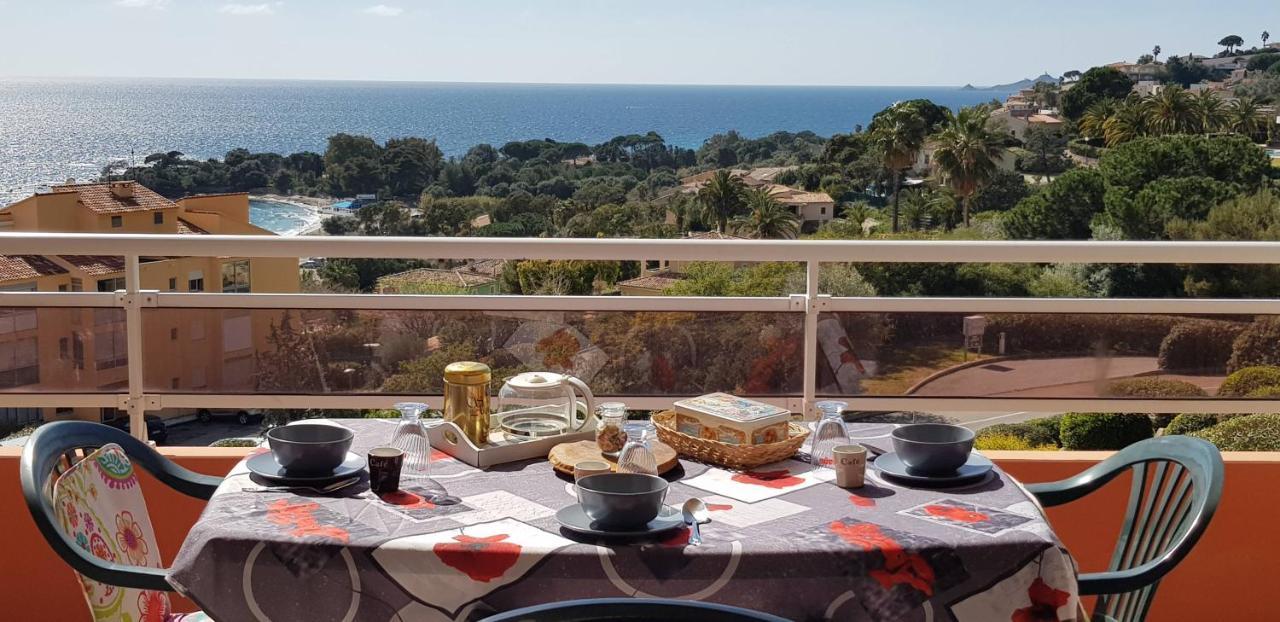 T1 Vue Mer Bord De Mer Ajaccio Ajaccio  Extérieur photo